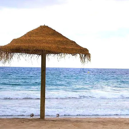 Villa Vh Costablanca - Casa Florida